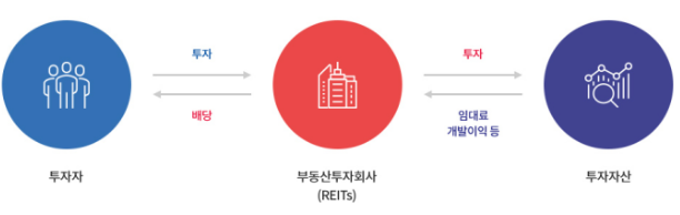 리츠 정의