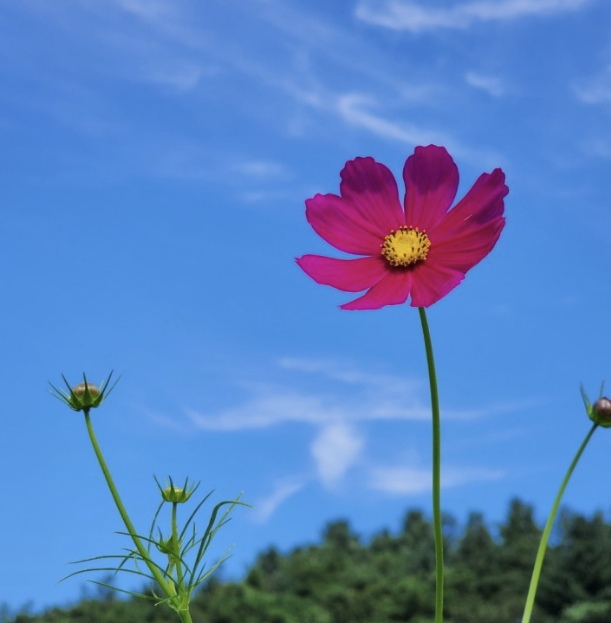 용수골 가을 사진2