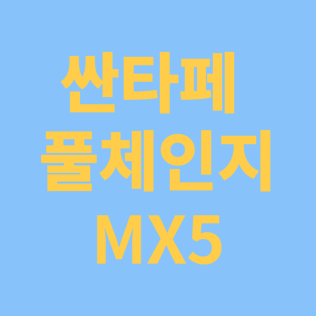 싼타페 풀체인지