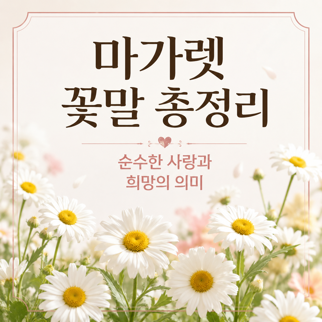 마가렛 꽃말
