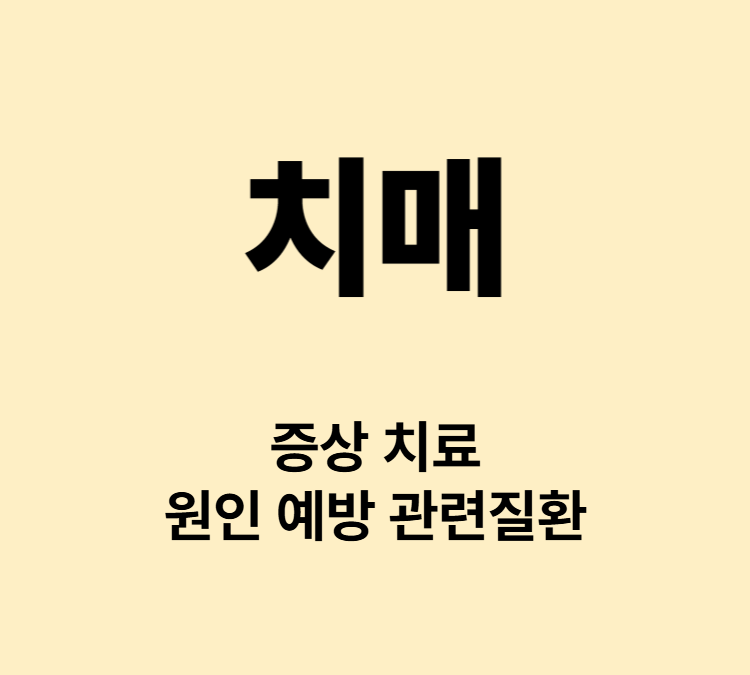 치매 예방을 위한 생활습관 주요 증상부터 치료법까지