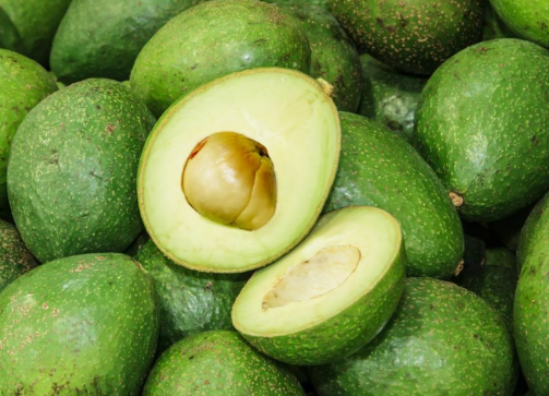 아보카도 씨앗차