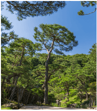 화담숲 전경사진
