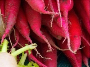 콜레스테롤 낮추는 음식