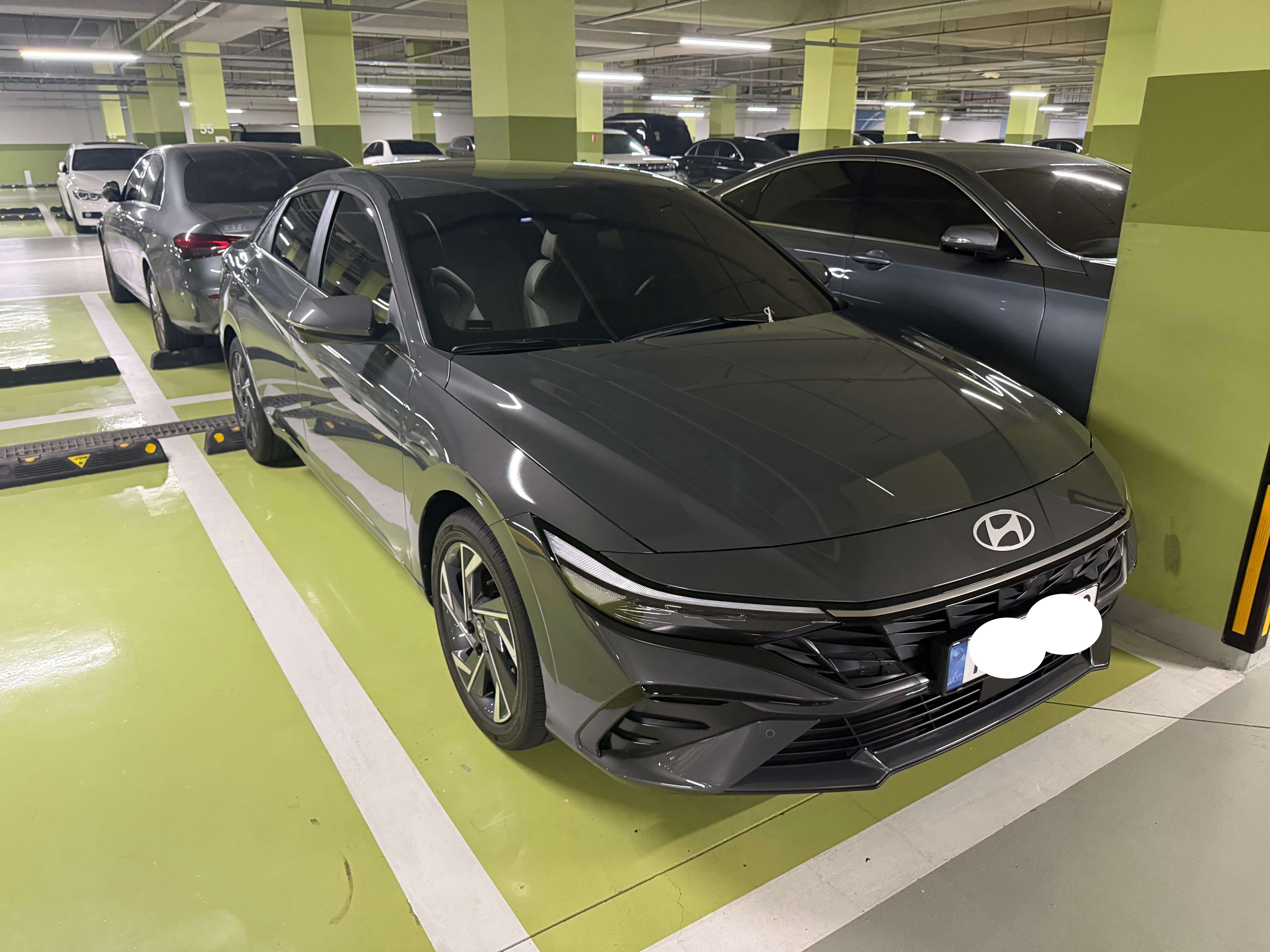 에코트로닉 그레이펄