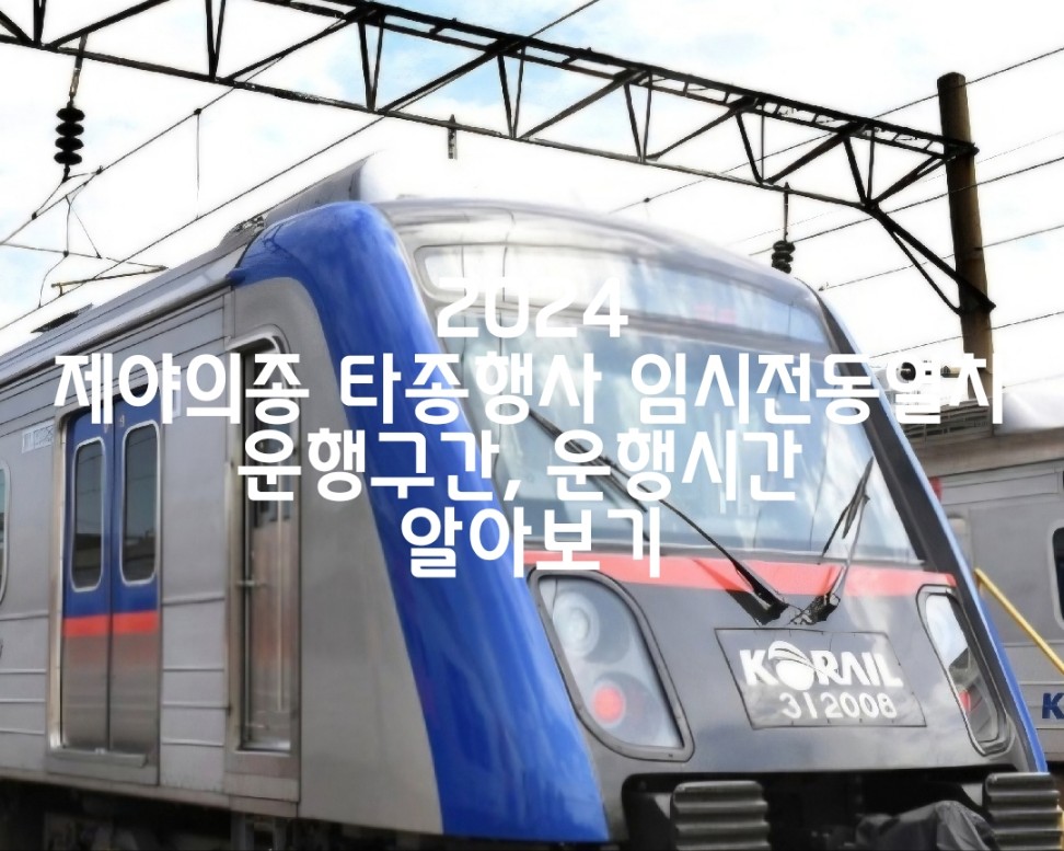 2024 제야의 종 타종행사 임시전동열차 운행구간 및 운행시간, 타종행사 내용 알아보기