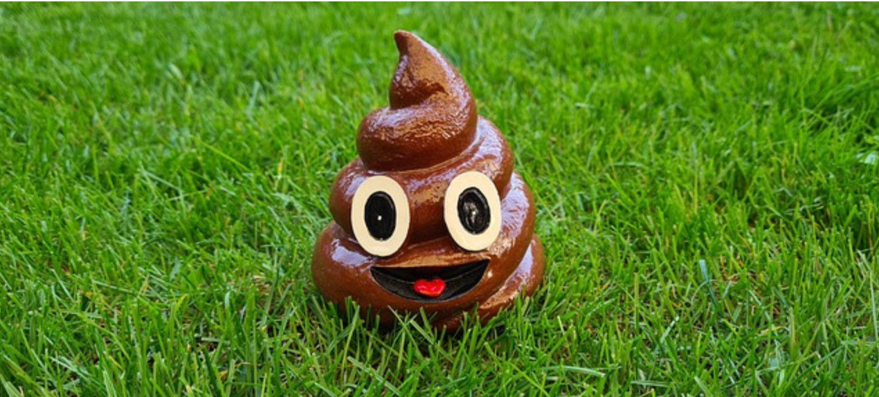 똥꿈의 기본 상징 의미