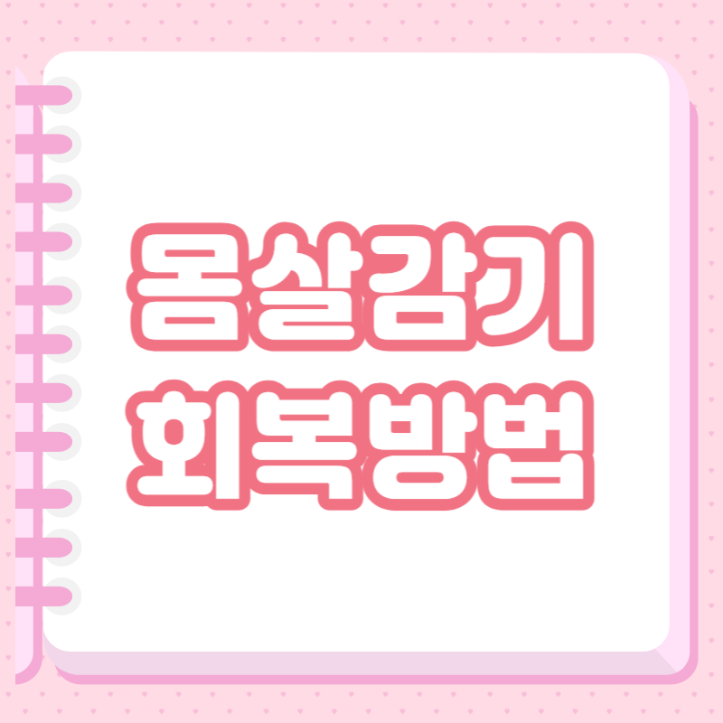 몸살감기 회복방법