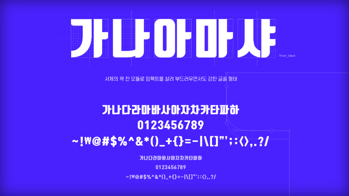 티몬-몬소리체예시