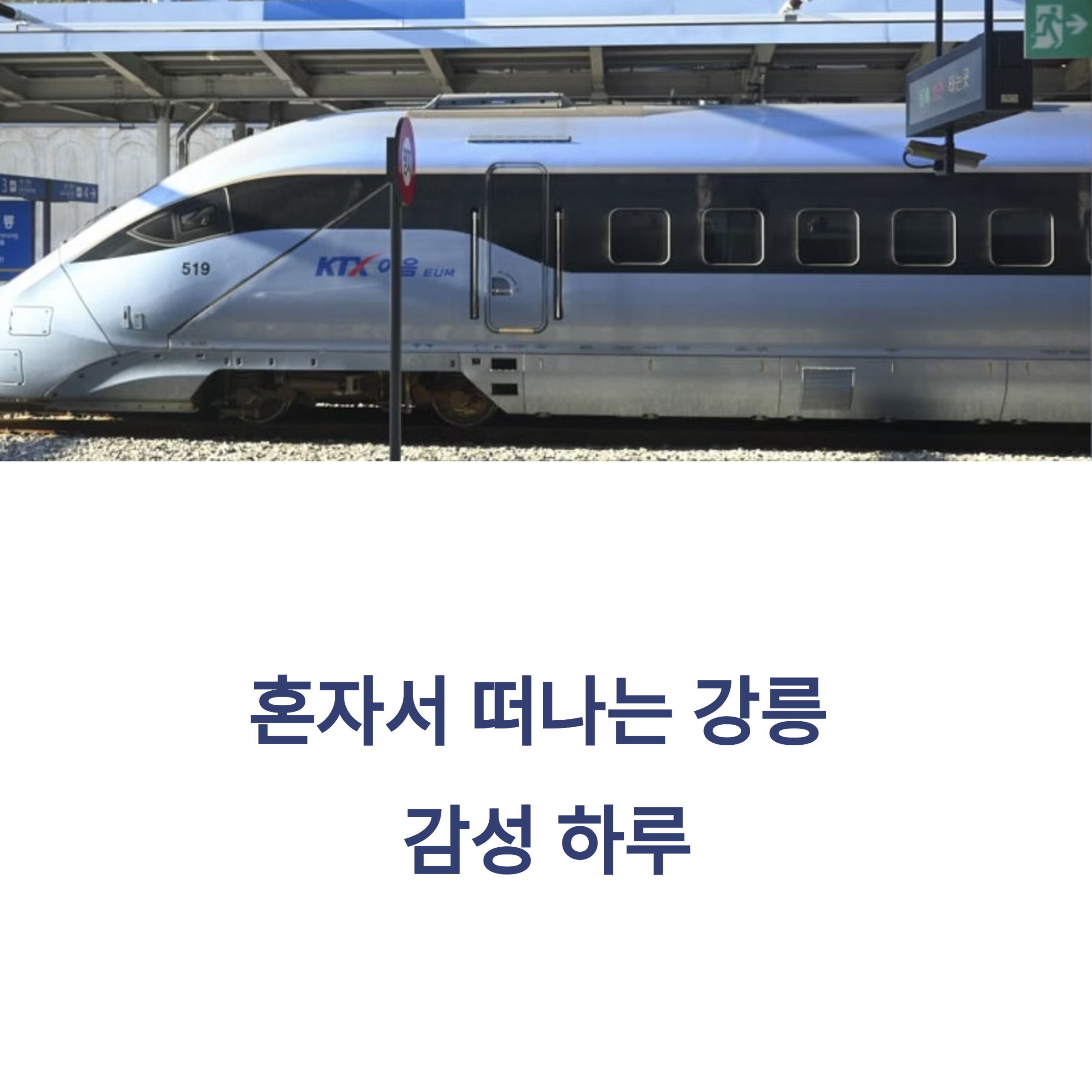혼자서 떠나는 강릉 감성 하루