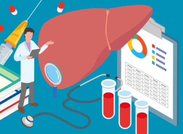 젊은층 지방간질환, 조기 암 발병 위험 증가 관련 이미지