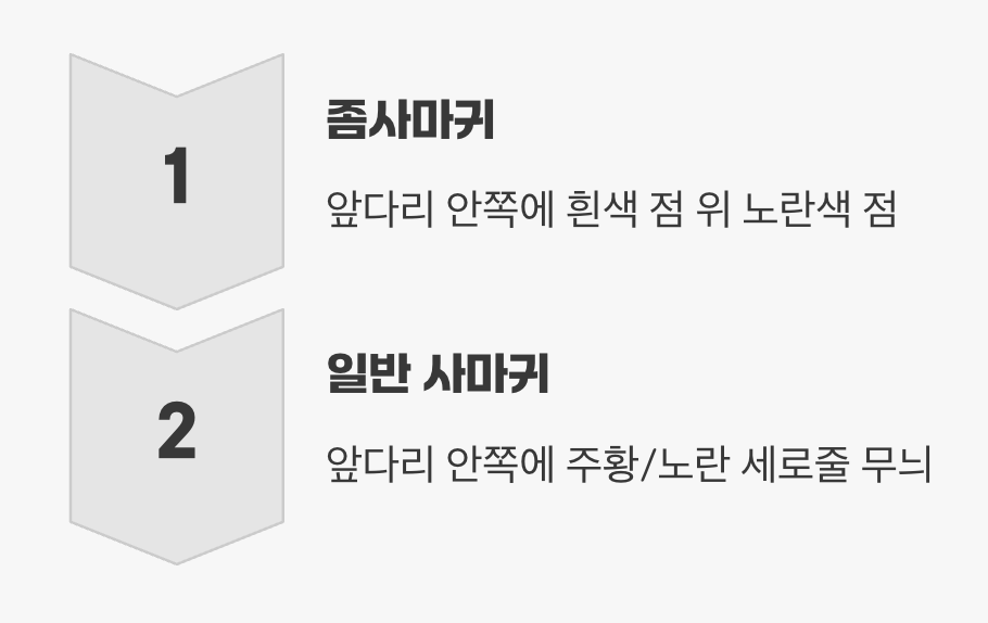 2. 결정적 단서, 앞다리 안쪽의 무늬