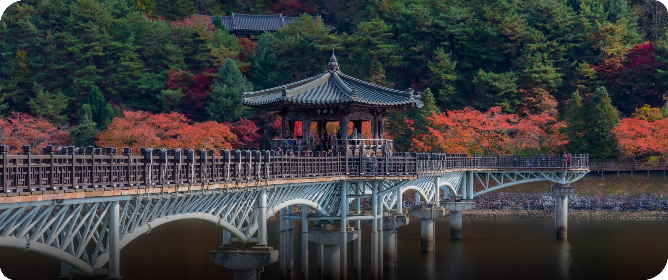 월영교