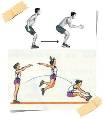 멀리뛰기 세계신기록 최신정리_7