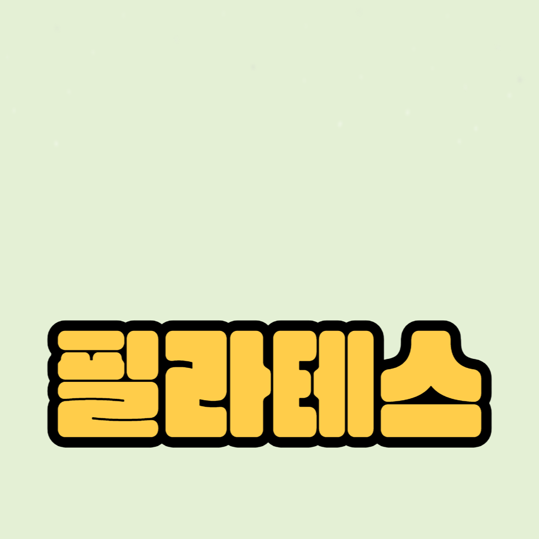필라테스 다이어트 성공 비결
