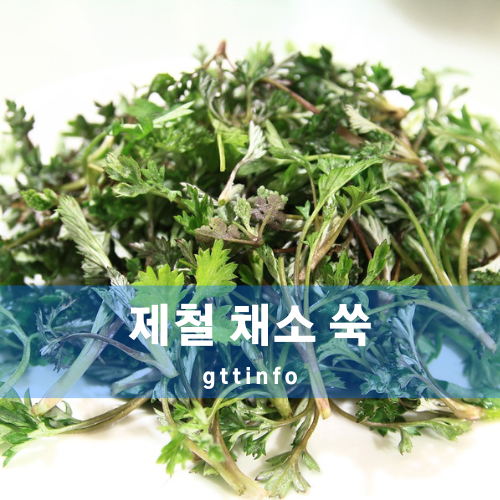 쑥의 효능