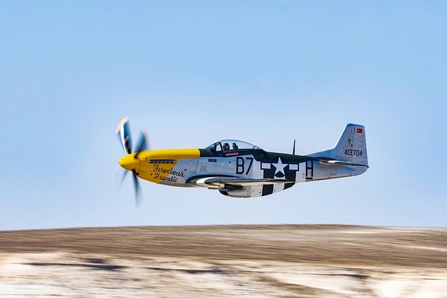 경량항공기 수리 및 유지 관리: 전문가의 조언
