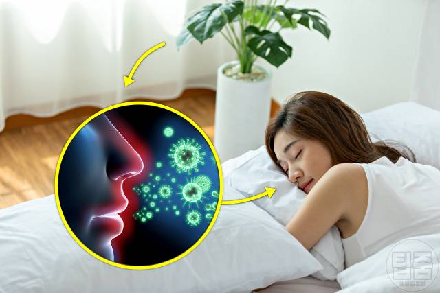 잠이 안 와요 수면장애 원인 잠이 안오는 이유 침실 화분