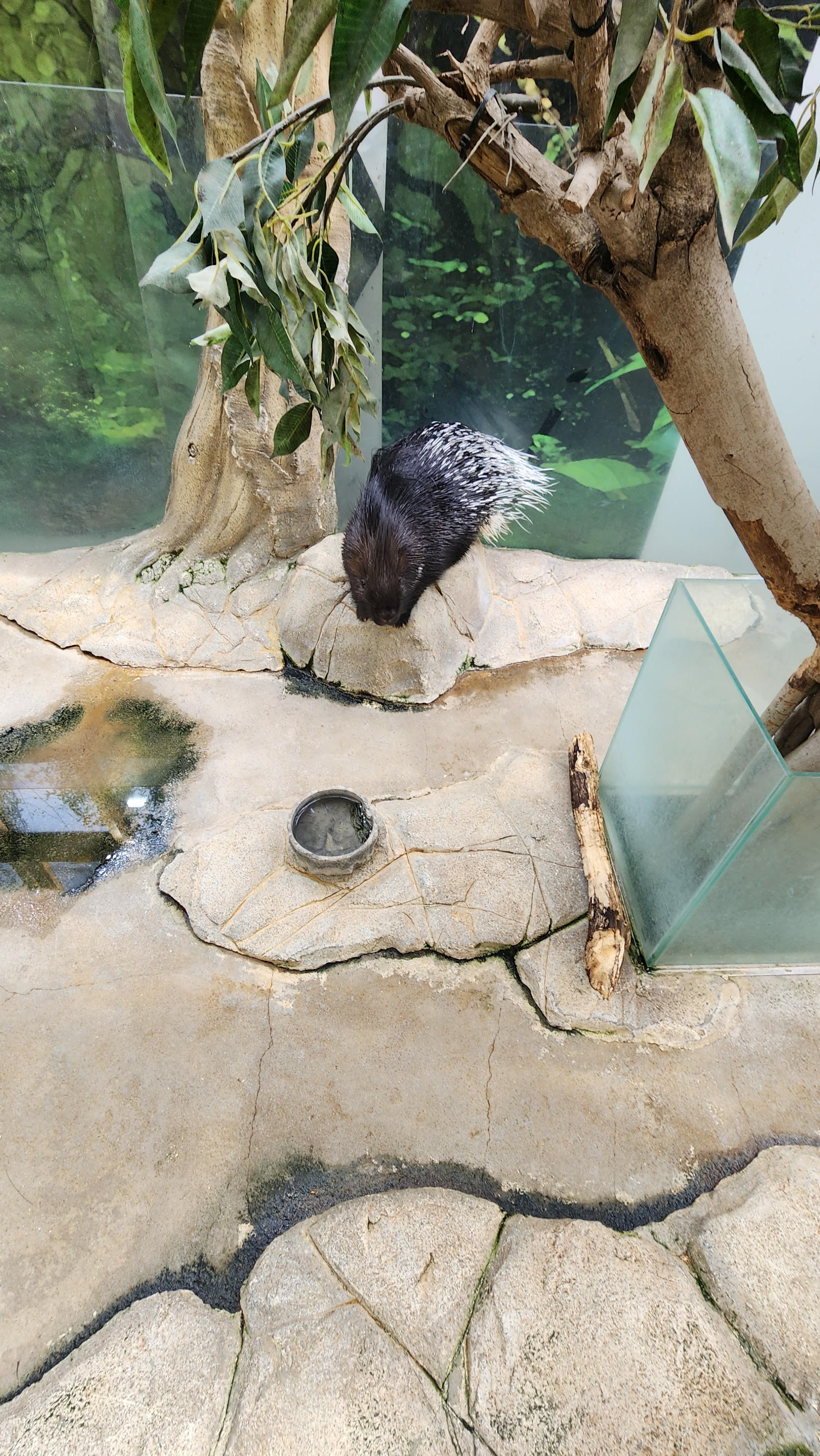 대구-네이처파크