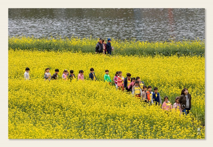 어린이집 단체 꽃나들이