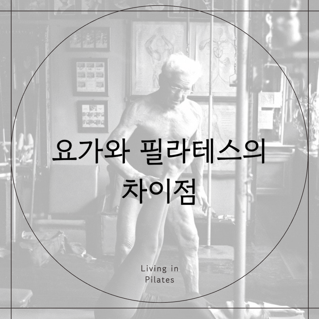 요가와 필라테스의 차이점