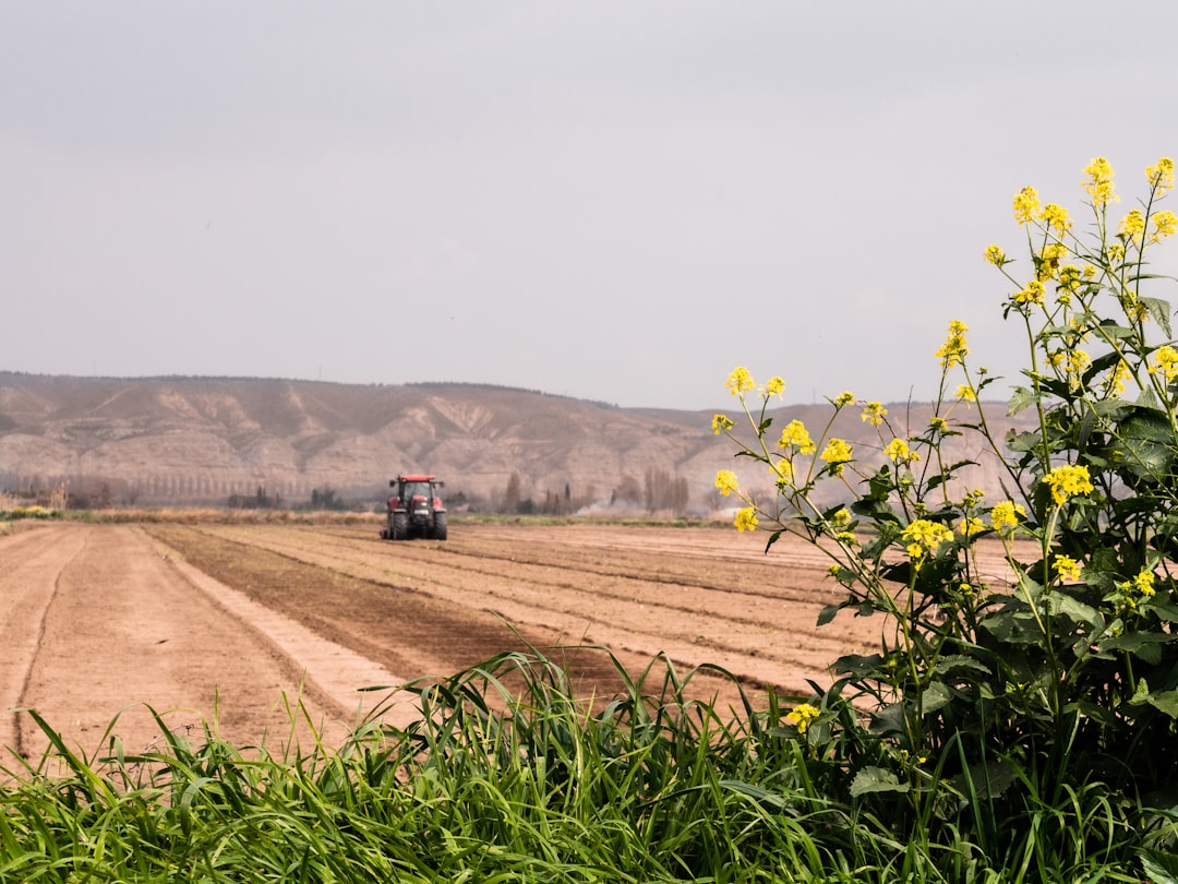Agricultural land