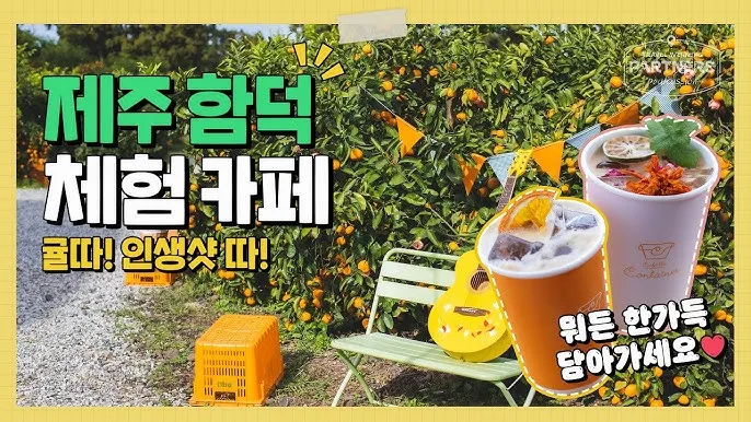 제주 함덕 카페 추천 바다뷰 인생샷 명소 포함_2