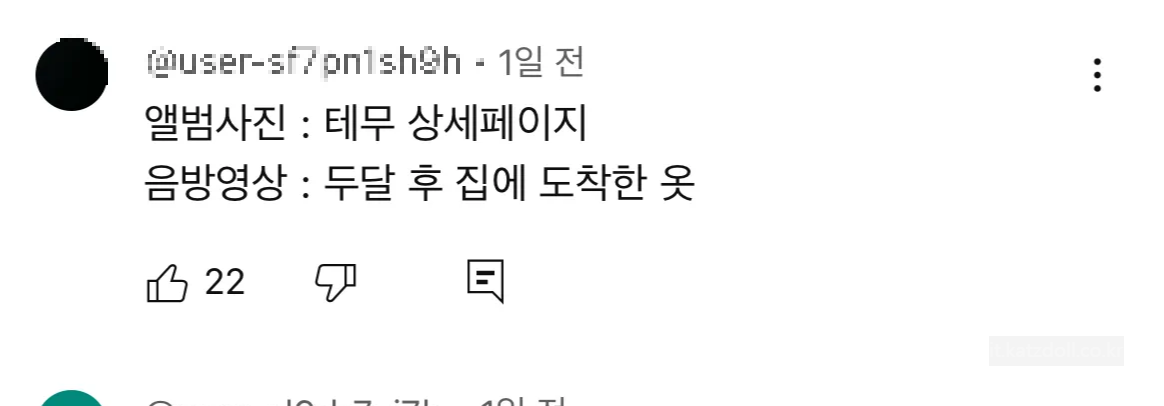 테무후기