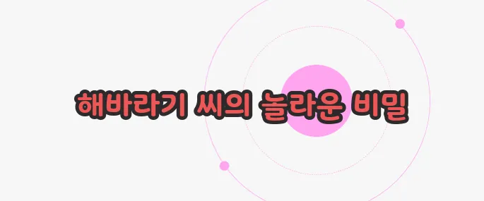 해바라기 씨 효능 궁금한 점, 풀어보죠