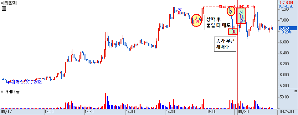 라온텍 분봉 차트