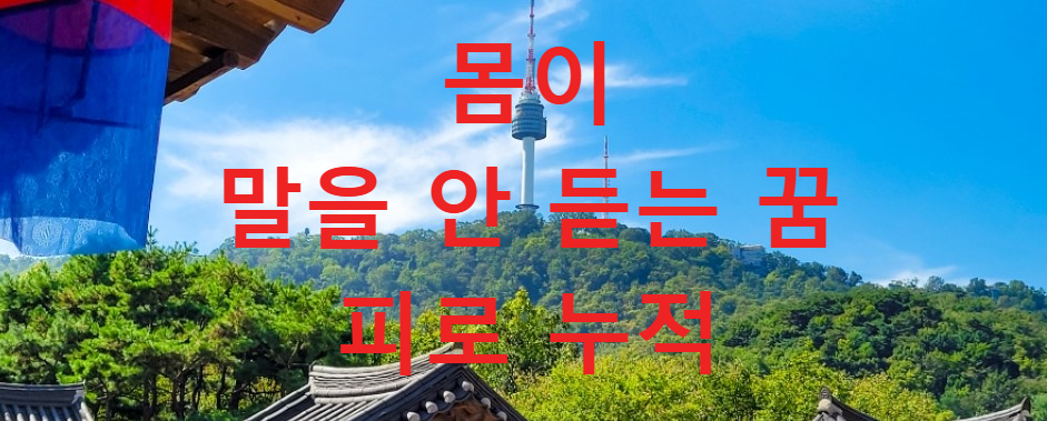 꿈과건강