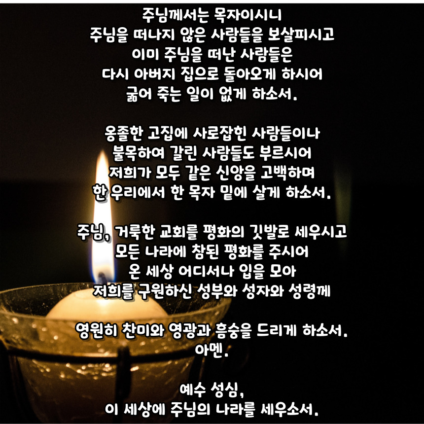 천주교 예수 성심 성월 기도문_성월기도