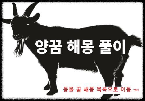 양꿈 해몽 썸네일