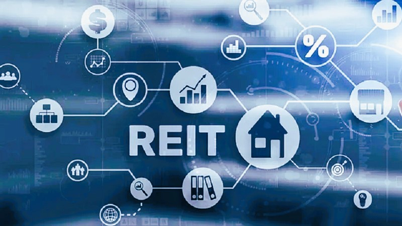 한국형 리츠 활용 예와 실제 표현 사례