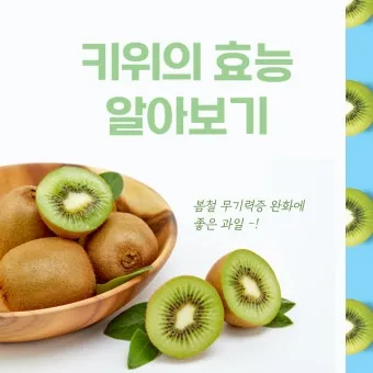 키위 효능과 부작용 비타민 풍부한 과일 정보_2