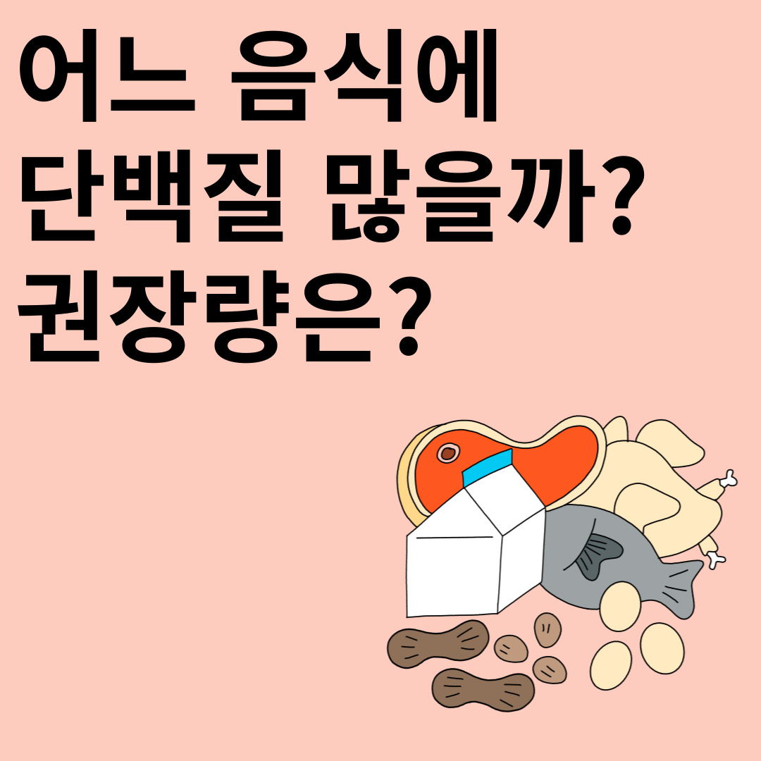 어느 음식에 단백질 많을까? 권장량은?