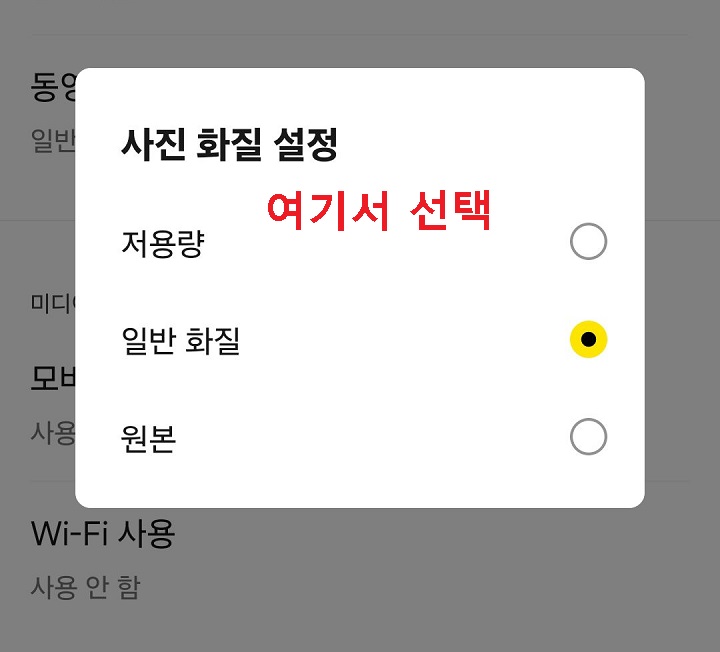 사진 화질 설정 창 보임