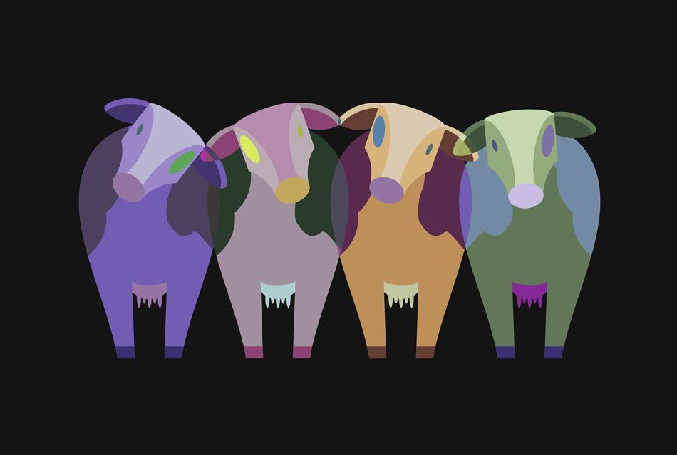 2026년 띠별 운세