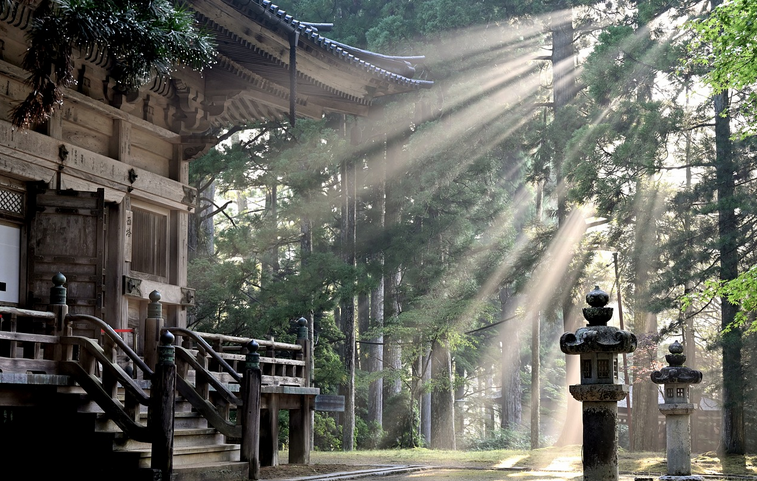 일본에서 꼭 가봐야 할 여행지