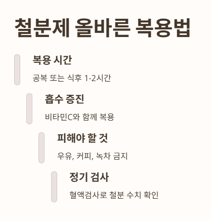 철분제 복용방법