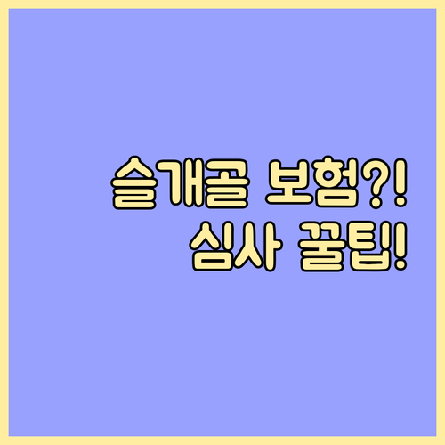 슬개골 탈구 보험금 청구 필수 서류와..