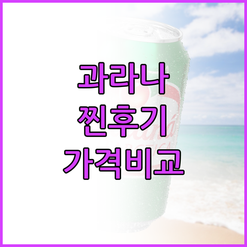 과라나 안타르치카 탄산음료.. 찐후기