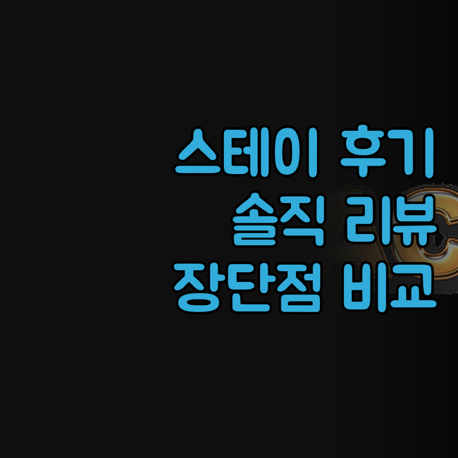 스테이 에브리데이 솔직 리뷰! 내돈내..