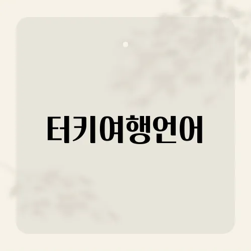 터키여행언어, 터키어 몰라도 통한다?