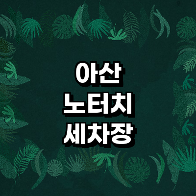 아산시 노터치 세차