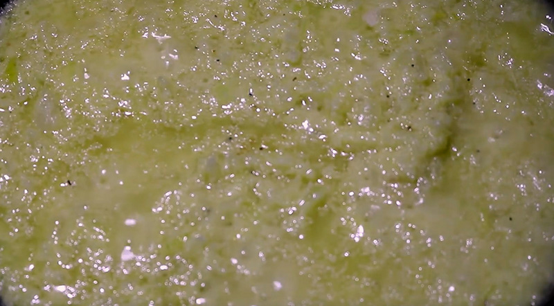 카라멜라이즈 양파 마늘