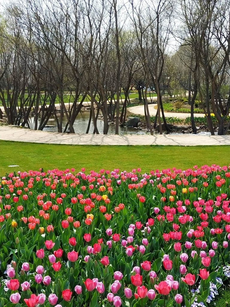 순천만 국가정원 입장료