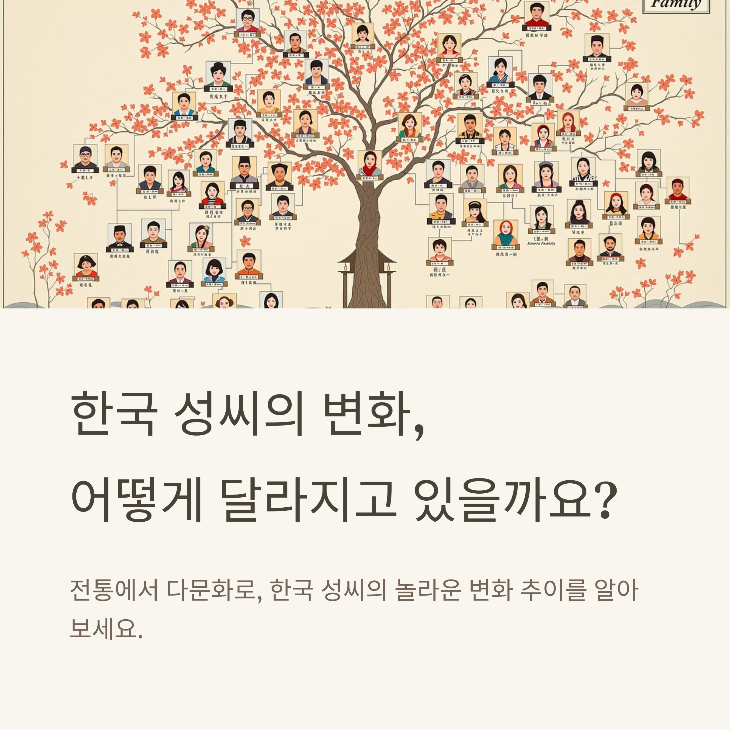 한국 성씨