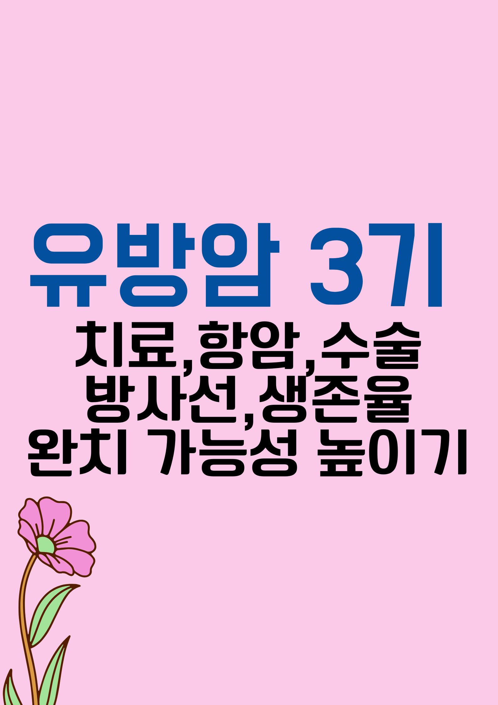 유방암 3기 (치료,항암,수술,방사선 요법,생존율,완치 가능성 높이기)