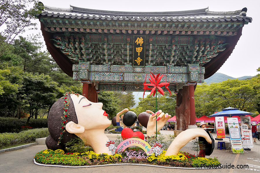 영광-불갑사-상사화-축제